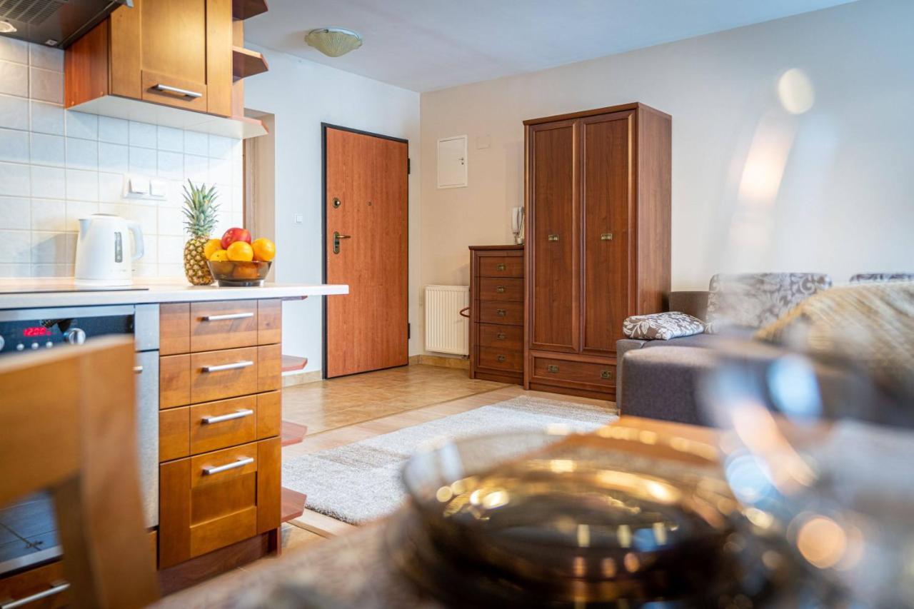 Apart-Styl Apartamenty Zakopane- Brzozowa, Centrum Miasta Экстерьер фото
