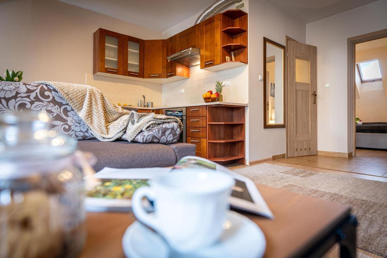 Apart-Styl Apartamenty Zakopane- Brzozowa, Centrum Miasta Экстерьер фото